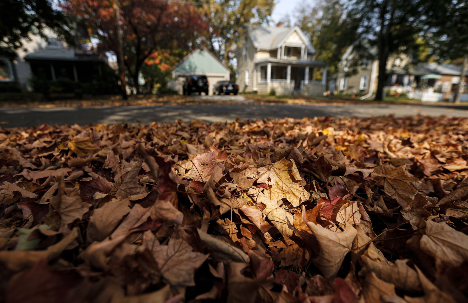 Fall Colors 2